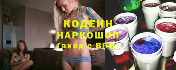 a pvp Бородино