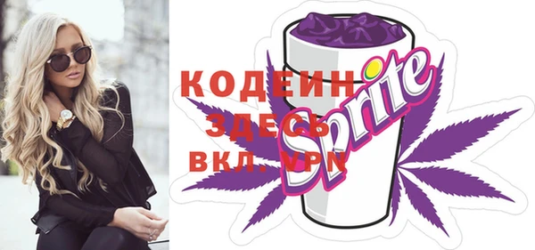 a pvp Бородино