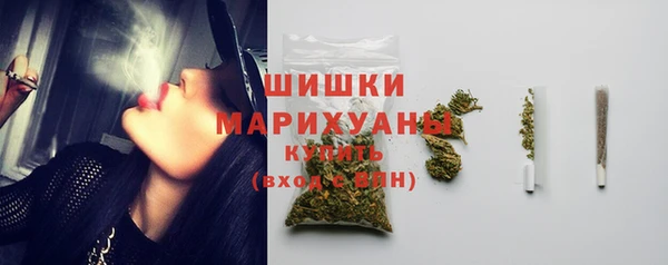 a pvp Бородино