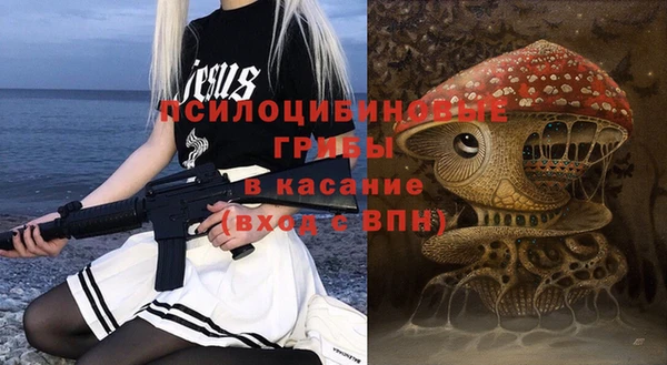 a pvp Бородино