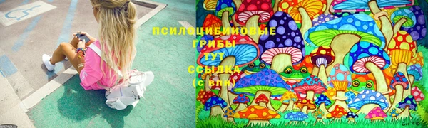 мескалин Бронницы
