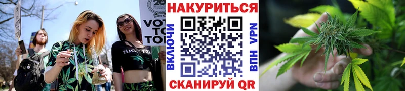 Бошки Шишки конопля  Купить  Северская 